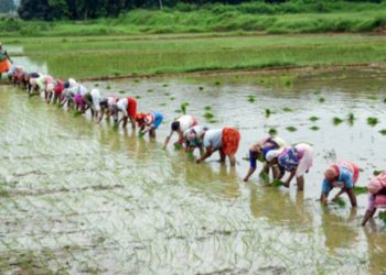 New Agri Scheme for 100 low-performing districts unveiled