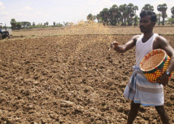 BBSSL launches seeds for 14 major crops