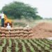 Agri Revolution: INFRA Fund spurs massive Agri Investment