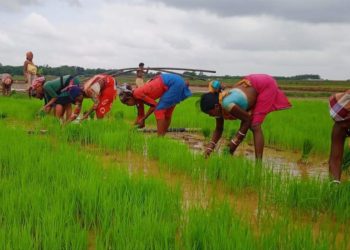 NABARD rolls out “PACS Accelerator Program