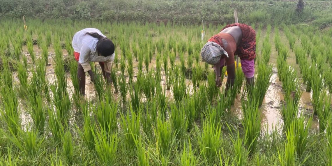 25K Co-operative Societies part of BBSSL