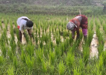 25K Co-operative Societies part of BBSSL