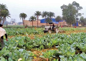 Samastipur leads Bihar’s Co-op growth, Kishanganj lags behind