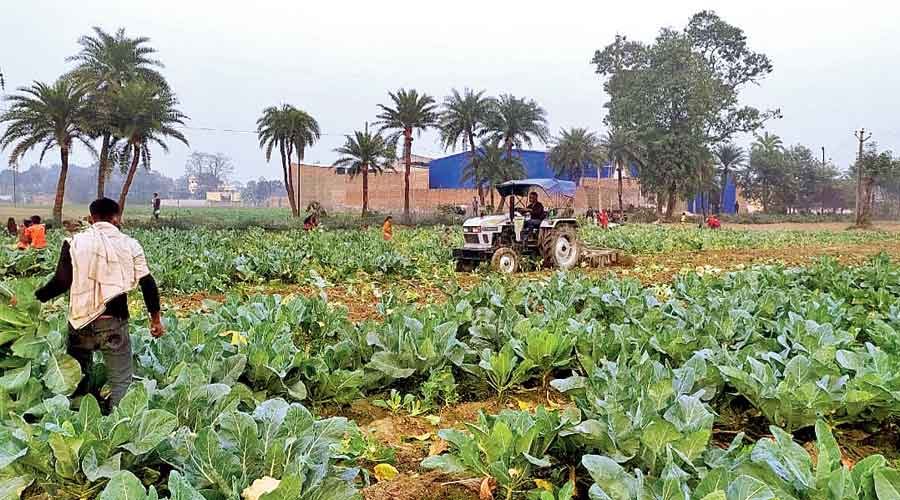 Samastipur leads Bihar’s Co-op growth, Kishanganj lags behind