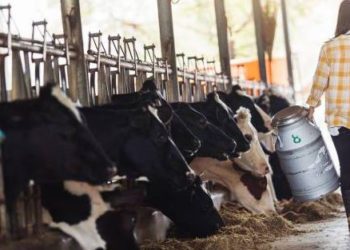 White Revolution 2.0 to transform India’s Dairy Sector