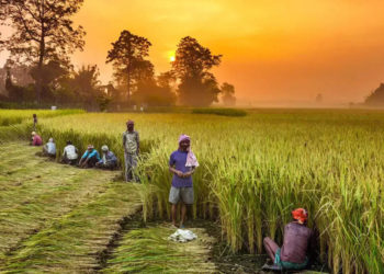 1,40,000 farmers benefited from BBSSL