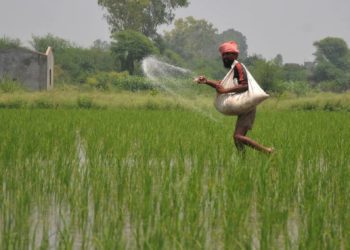 Govt pushes Nano DAP adoption to cut imports