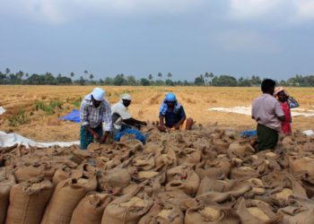 10,000 FPOs registered, Rs 5,035.5cr Turnover achieved