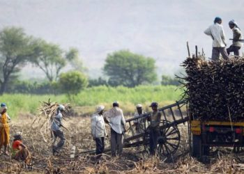 Maharashtra leads PACS Computerization, Ladakh trails behind