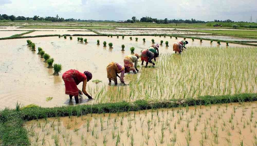 7,768 new PACS added since 2021, strong growth in Hindi belt