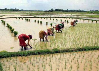 7,768 new PACS added since 2021, strong growth in Hindi belt