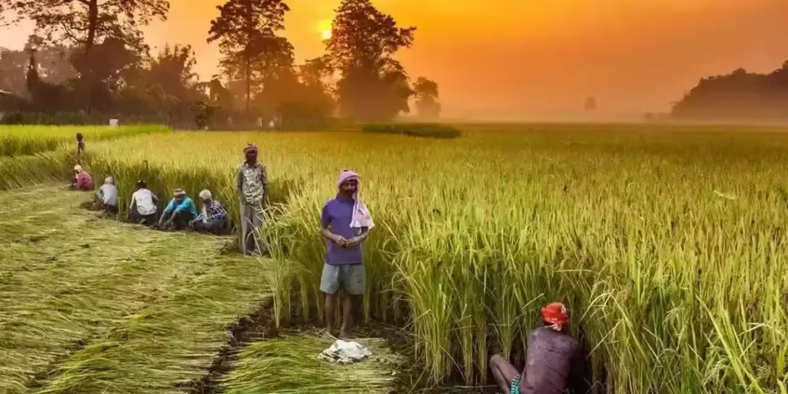 PACS integration to boost efficiency and cybersecurity