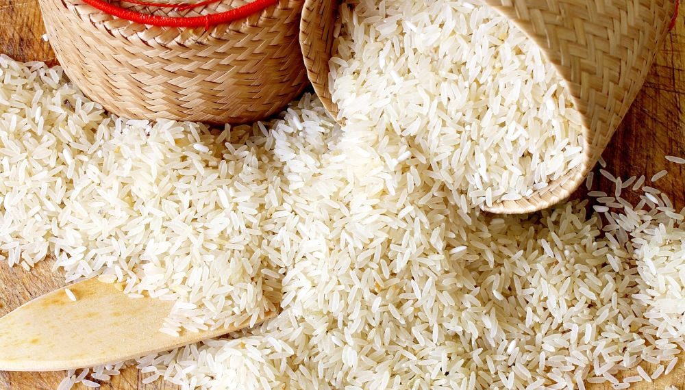 Assam Co-op Fed inks MoU with NCEL