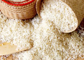 Assam Co-op Fed inks MoU with NCEL