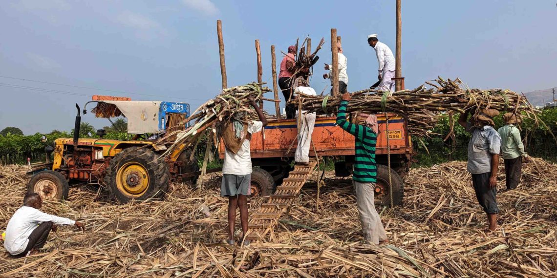 UP Co-op Sugar Mills near full payment of cane dues