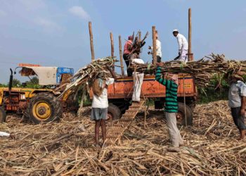 UP Co-op Sugar Mills near full payment of cane dues
