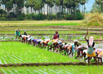 TN: Farmers say Co-op Banks ignoring revised limit