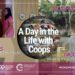 Co-operatives Power everyday life: ICA-AP launches Global Video