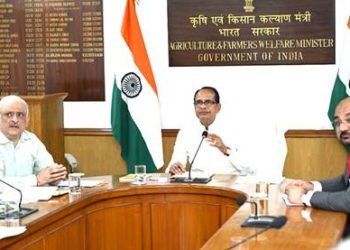 Pulses & Oilseeds: NAFED, NCCF to lead massive procurement