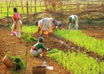 Centre steps in to protect Fertilizer Supply; Crackdown across India