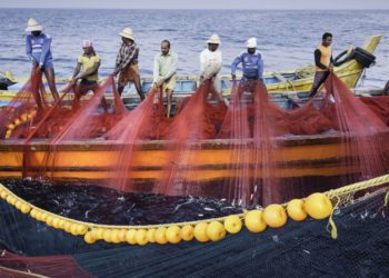 Centre notifies New Rules; Co-ops to lead Deep-Sea operations