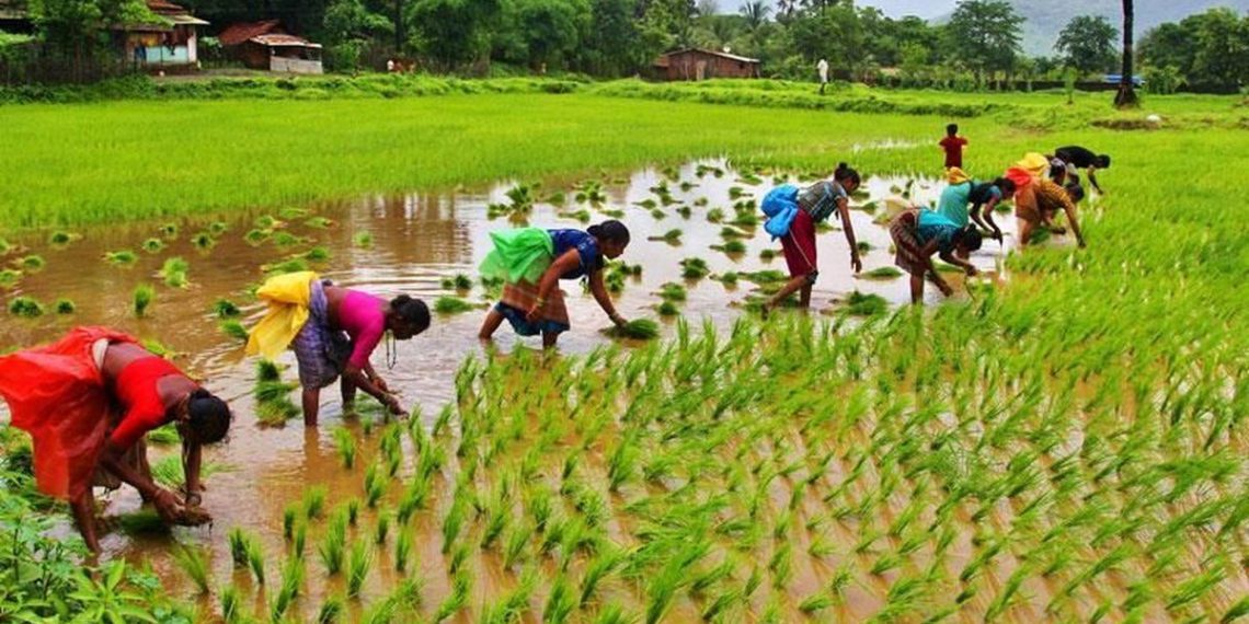 Co-ops anchor India’s Fertilizer Security in Kharif 25; IFFCO, Kribhco lead