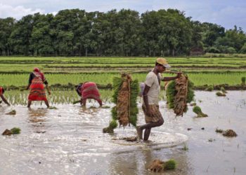 BIRD Meet charts roadmap to boost Co-op Banks’ share in Agri Credit