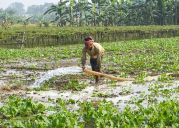 PM to release 21st PM-KISAN Instalment on Nov 19