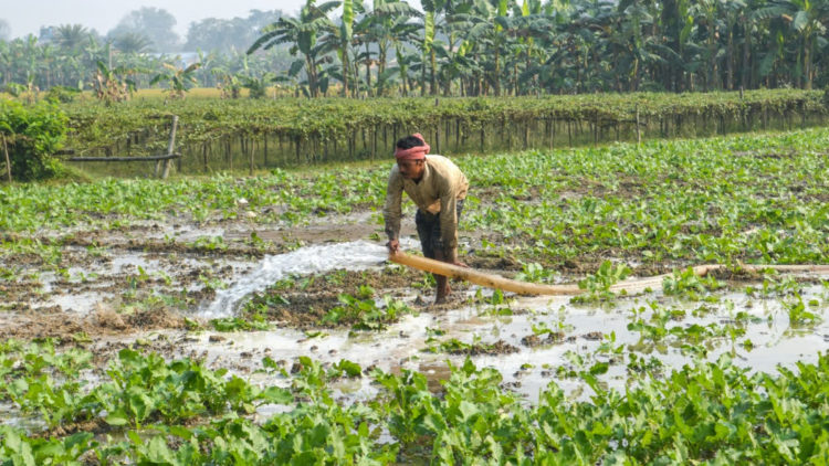 PM to release 21st PM-KISAN Instalment on Nov 19