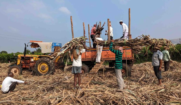 Sugar Co-ops: Weather woes, Price unrest delay start of new season