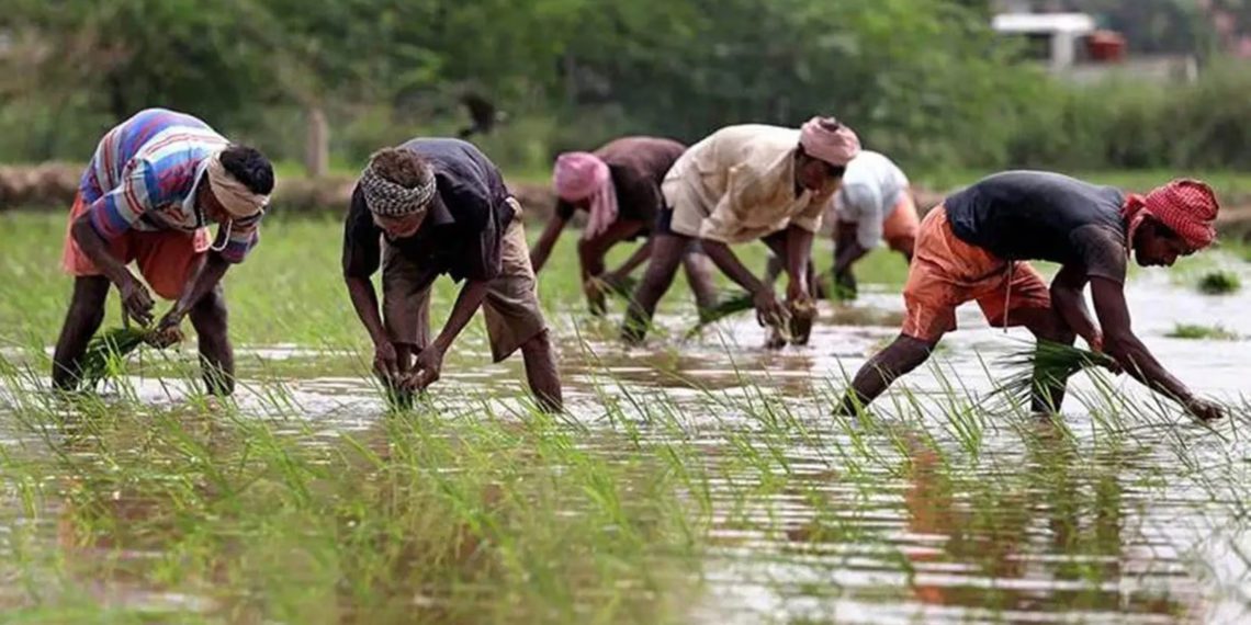 Subsidy and relaxed norms for FPOs under PMKSY