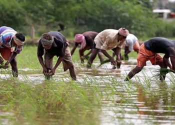 Subsidy and relaxed norms for FPOs under PMKSY