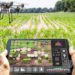 AI, Drones drive tech push in Indian Agriculture: MoS