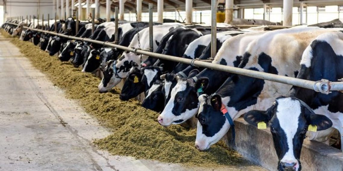 Karnataka’s Dairy Co-ops; Rs 236.60 Cr released