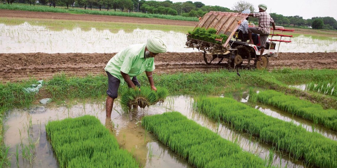 High Punjab farm debt alarms experts