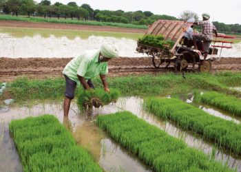 High Punjab farm debt alarms experts