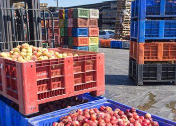 NCEL strengthens Co-op-led Agri Exports: Mohol