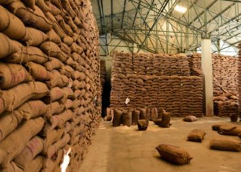 NAFED & NCCF lead World’s Largest Grain Storage Plan