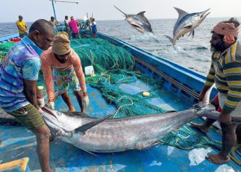Deep-Sea Fishing: NCDC backs 14 Vessels in Maharashtra