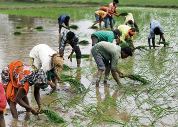 Farm Credit to hit record Rs 32.5 Lakh Cr in FY26