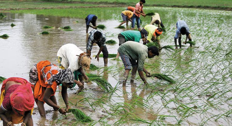 Farm Credit to hit record Rs 32.5 Lakh Cr in FY26