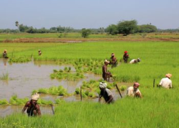 Among 8,172 Co-ops, 7,595 functional in Odisha