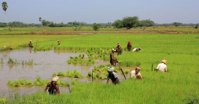 Among 8,172 Co-ops, 7,595 functional in Odisha