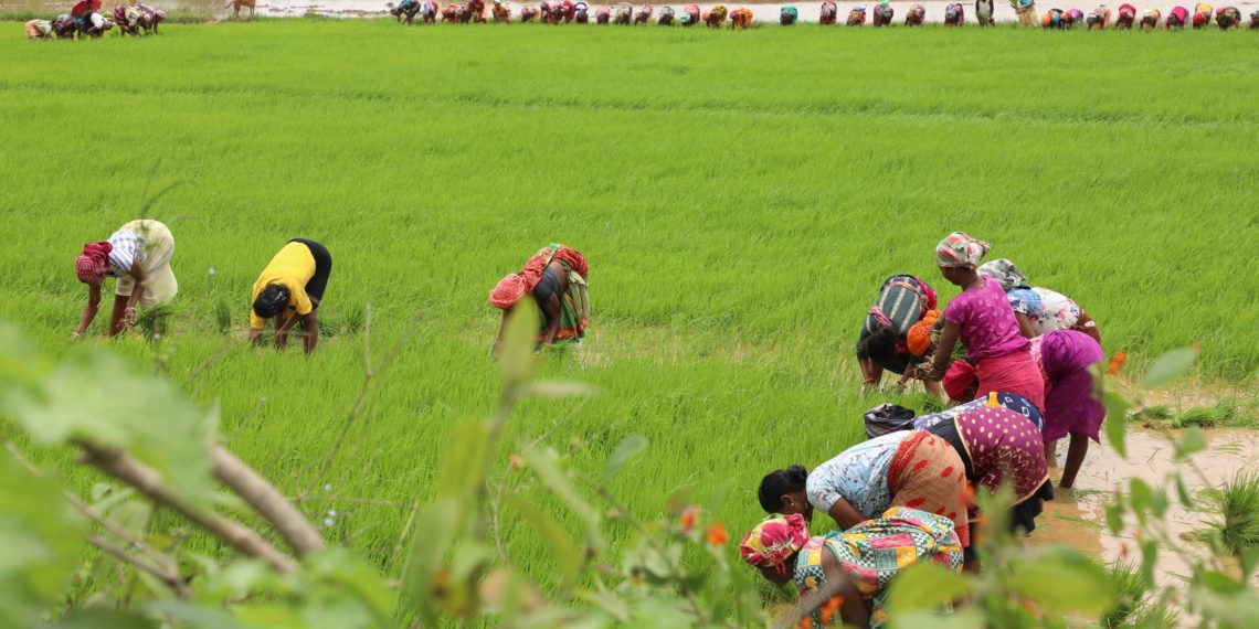 PACS membership crosses 16 Crore; RBI highlights its transformation