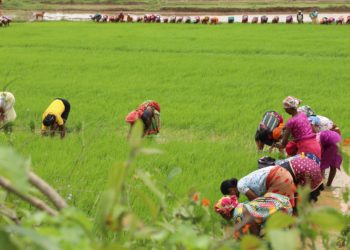 PACS membership crosses 16 Crore; RBI highlights its transformation