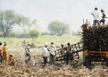 Strong Sugar output, Weak Finances: Co-op Mills seek MSP Revision