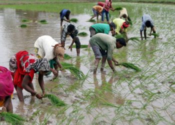 1,897 PACS in profits in Tamil Nadu: Shah