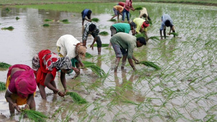 1,897 PACS in profits in Tamil Nadu: Shah