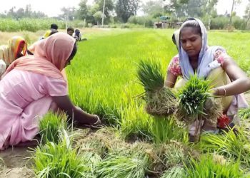 Minister highlights growth of PACS in Jhansi