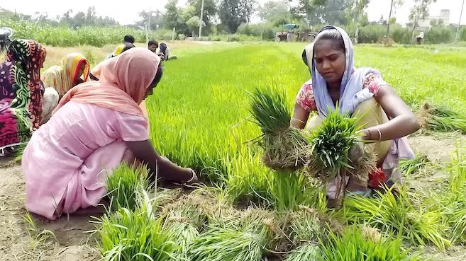 Minister highlights growth of PACS in Jhansi